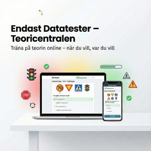 Endast Datatester Teoricentralen